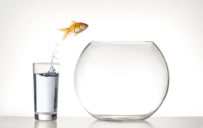 AI Agents: The Next Frontier in Business Automation