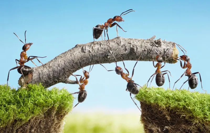 The Agentic Customer Care Revolution: Beyond Traditional Support